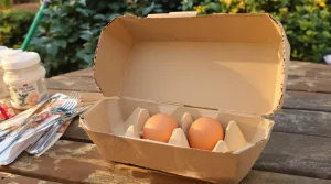 Moins d’œufs, prix en hausse : « Tout le monde veut des œufs, mais personne ne veut de poulailler »